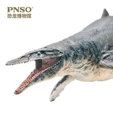 Load image into Gallery viewer, 2019 Pnso Jurassic Dinosaurs Aeum Science And Art Model Mamenchisaurus Mosasaurus amargasaurus 1:35
